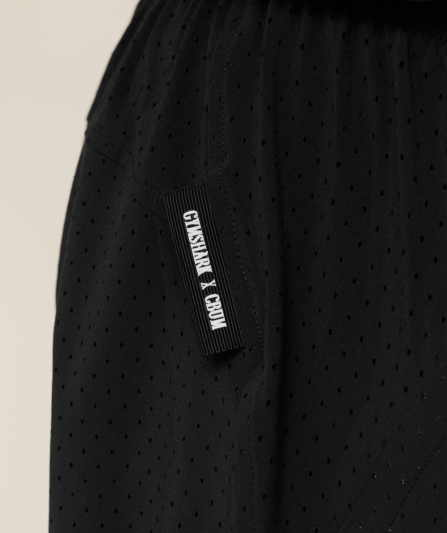 Gymshark x CBUM Shorts - US 1843